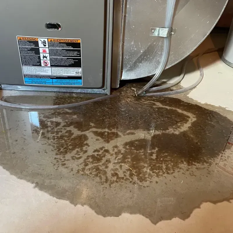 Appliance Leak Cleanup in University Park, IL